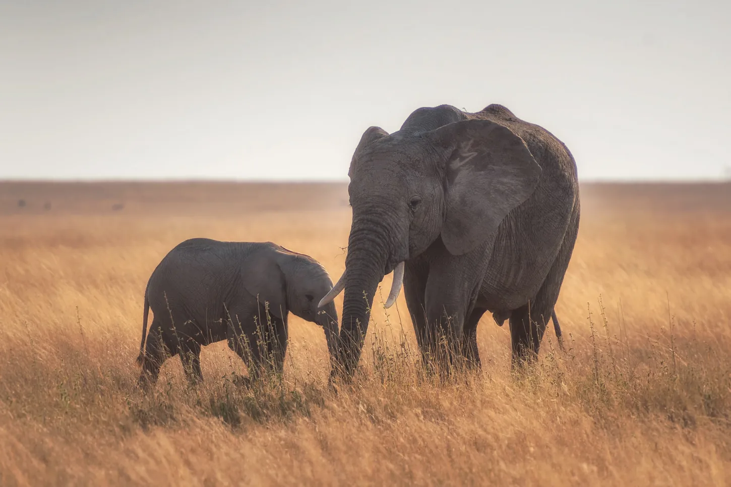 1 Day Budget Friendly Tanzania Lake Chala Day Trip image