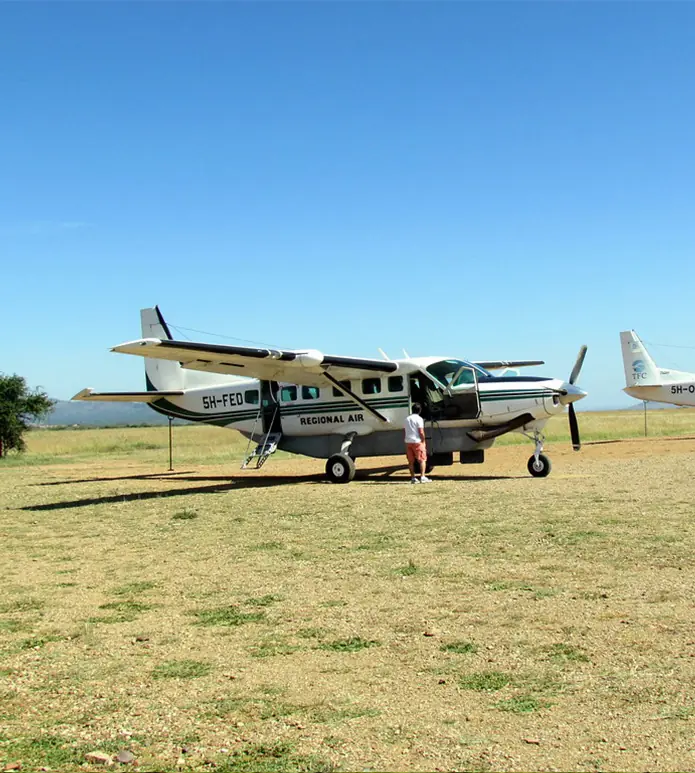 6 Day Best Gombe And Mahale Chimpanzee Safari image