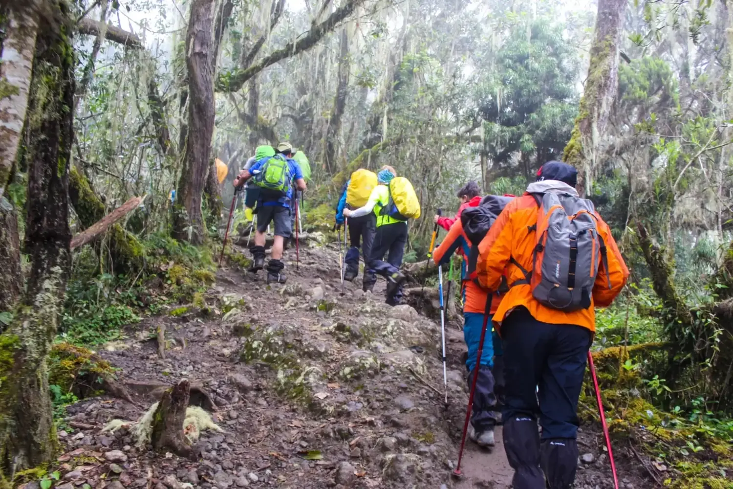 4 Day Budget Friendly Mount Meru Trekking Private Departure image