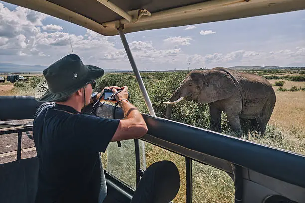 7 Day Best Uganda Chimpanzee And Gorilla Safari For Small Groups image