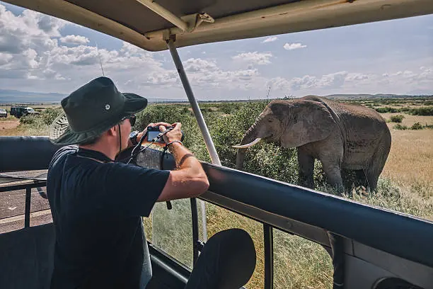 8 Day Best Murchison Falls Queen Elizabeth And Bwindi Safari image