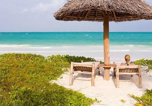 13 Day Best Tanzania Kilimanjaro Safari And Zanzibar Adventure For Small Groups image