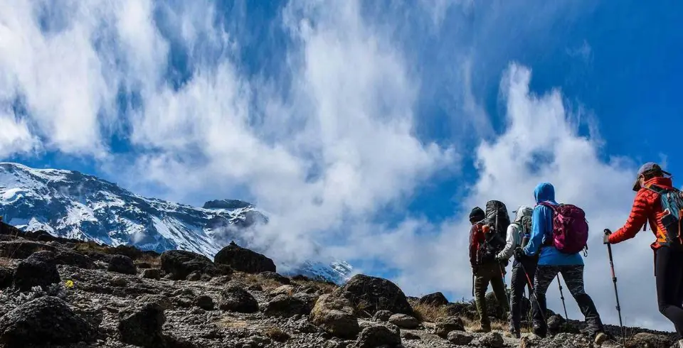 8-Day Lemosho Route Kilimanjaro Climb image