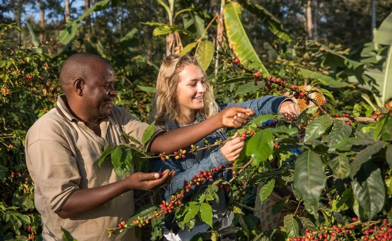 Coffee tour experience in Moshi Tanzania